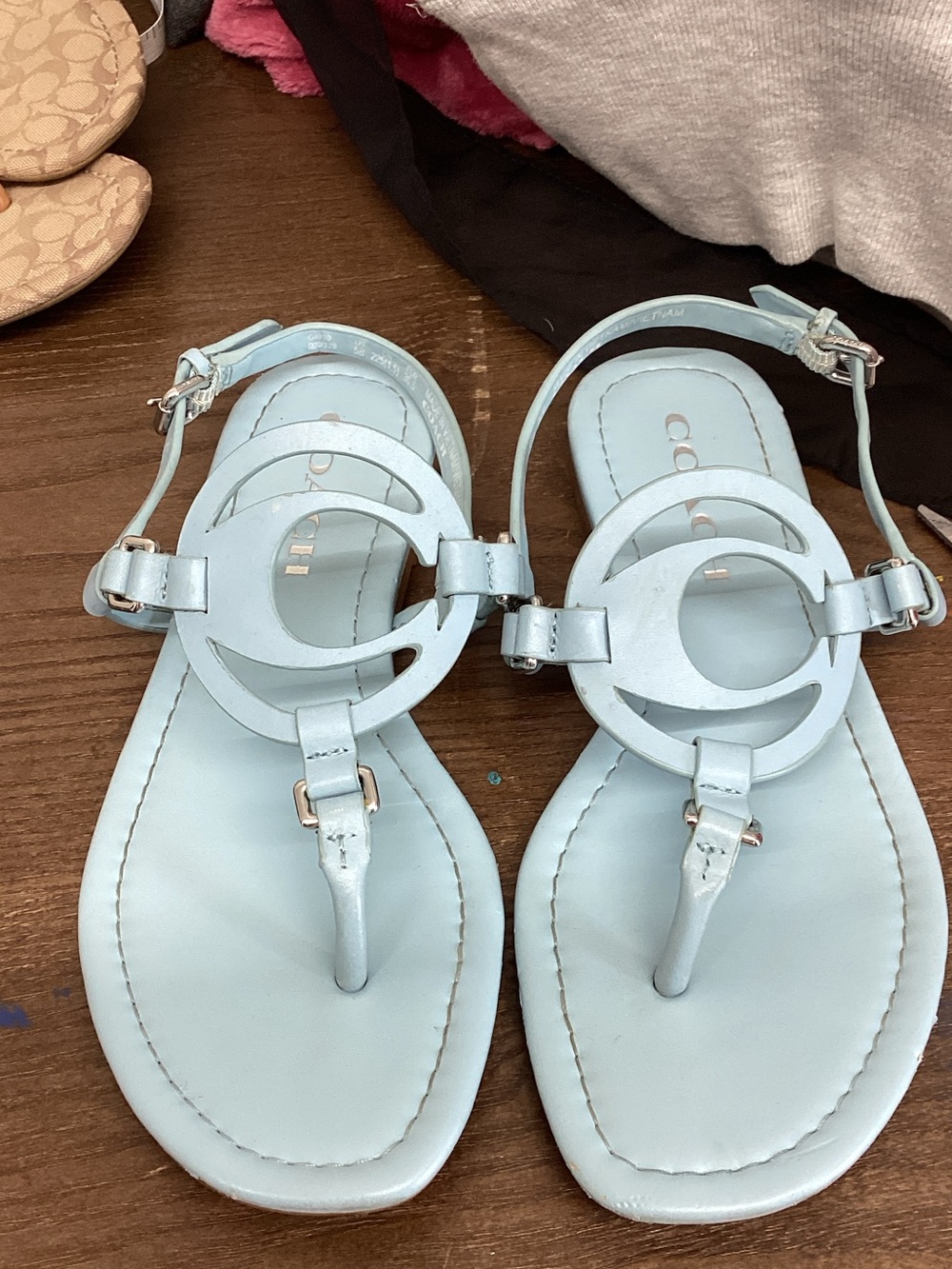 Coach Light Blue Jeri Thong Sandals